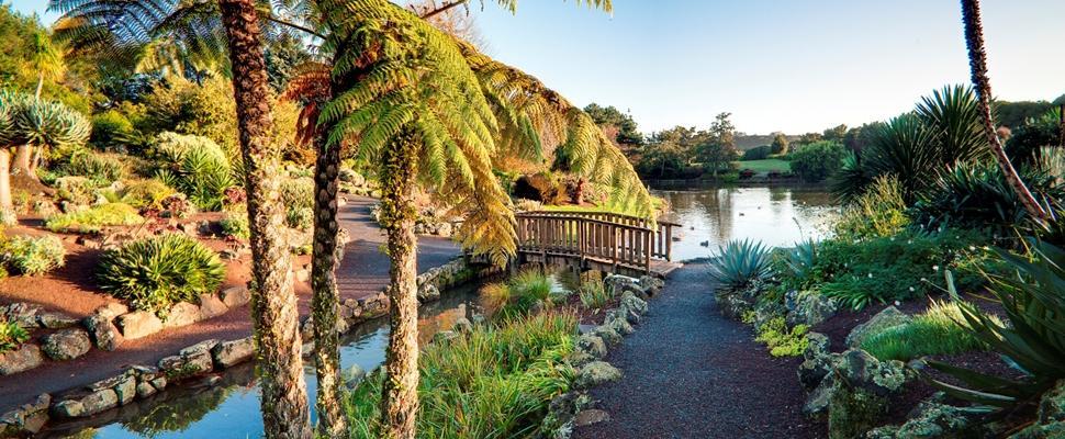 The Gardens Bed And Breakfast Auckland Eksteriør bilde